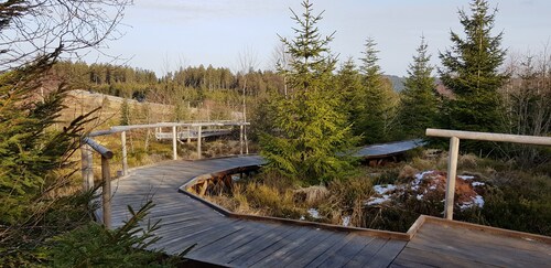 Ferienwohnung "Vogelnest" im Schwarzwald