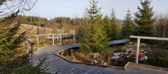 Vacation apartment "Vogelnest" in the Black Forest