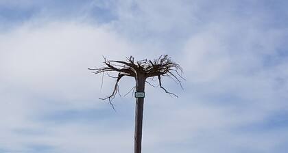 Ferienwohnung "Vogelnest" im Schwarzwald