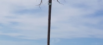 Vacation apartment "Vogelnest" in the Black Forest