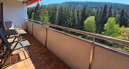 Ferienwohnung Vogelnest mit weitem Blick über den Schwarzwald