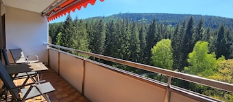 Holiday apartment “Vogelnest” with Black Forest view in Baiersbronn