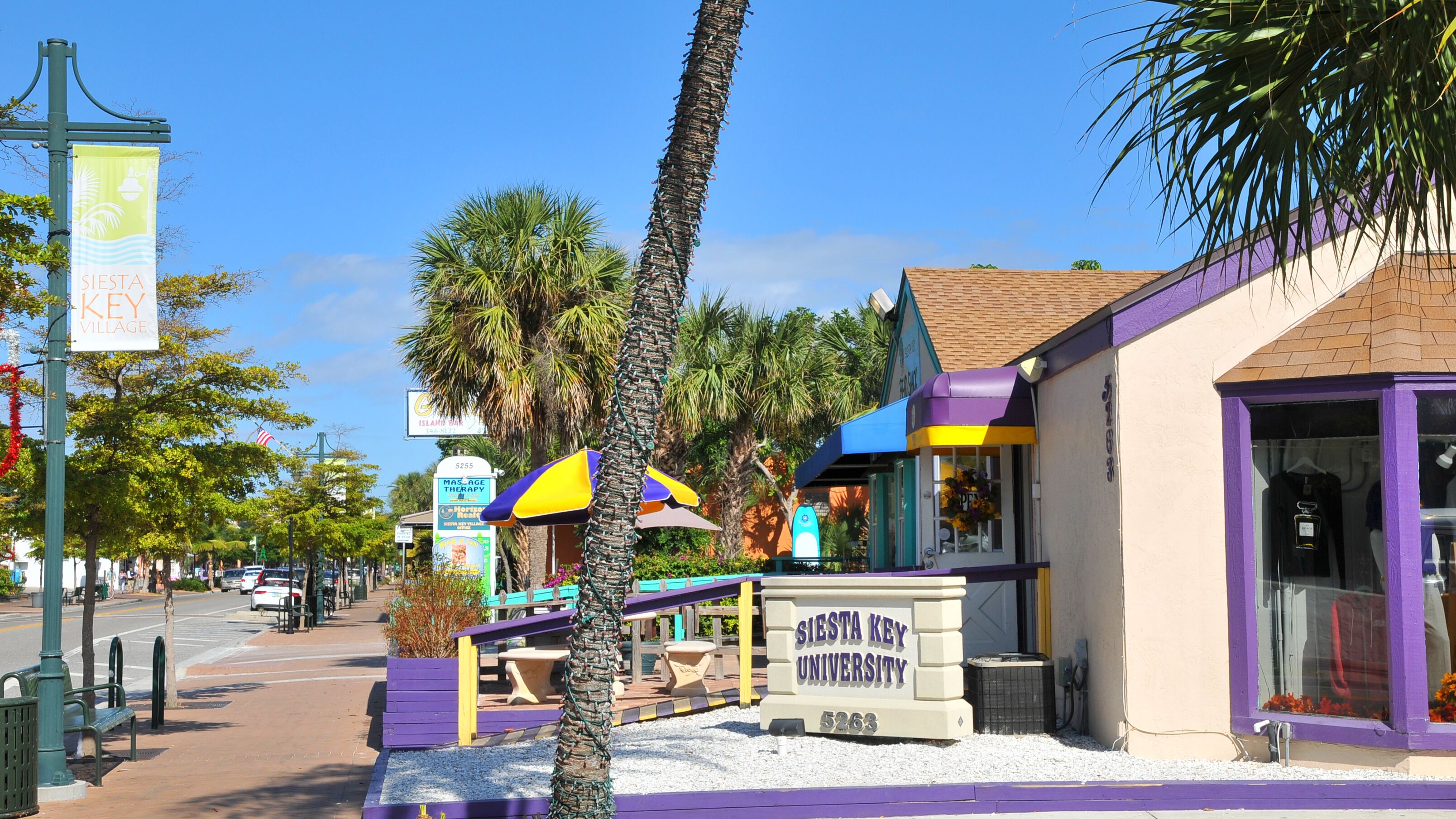 A street view with a building labeled 'SISTA KEY UNIVERSITY' and a palm tree in the foreground.