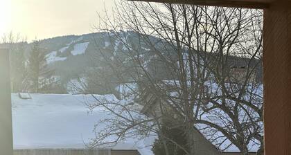 Redecorated! Great Location at Mount Snow, Free Shuttle, Pool/Hot Tub
