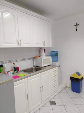 Fridge, microwave, oven, stovetop - 3rd Floor Apartment 2BR 2T&B Front of Xentro Mall (Vigan City)