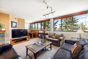 Smart-tv, pejs, dvd-afspiller