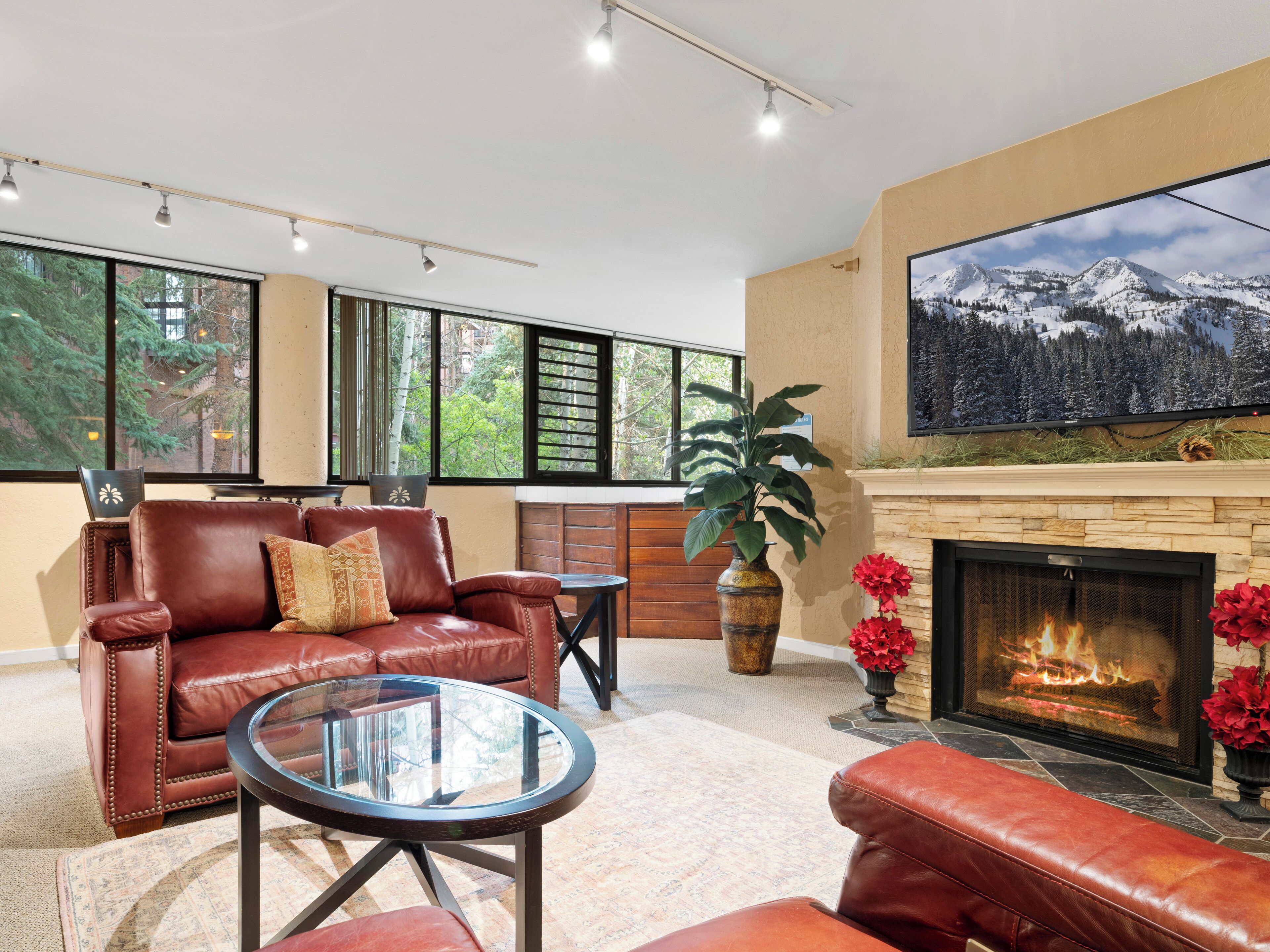 Living Room / Hot Tub