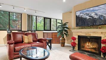 Smart TV, chimenea y reproductor de DVD