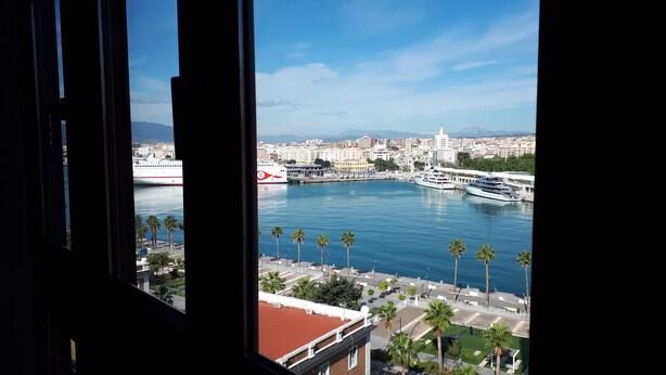 Vista de un puerto deportivo con barcos, palmeras y un paisaje urbano al fondo.