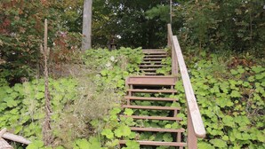 Eine Holztreppe, umgeben von dichtem Grün.