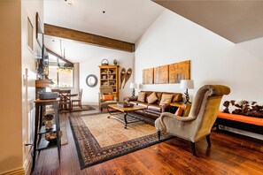 TV connectée, cheminée, lecteur de DVD