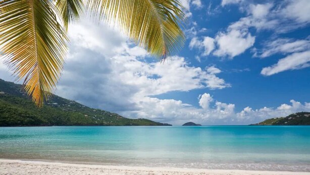 Una playa con agua turquesa cristalina, arena blanca y una palmera.