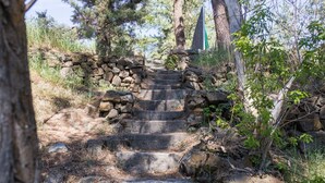 Una escalera de piedra que asciende por una colina, rodeada de árboles y vegetación.