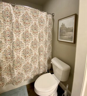 Combined shower/tub, hair dryer, towels, soap