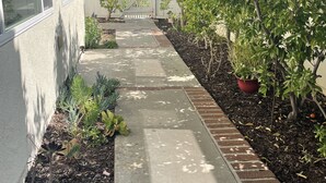 Een betonnen pad, omzoomd met potplanten en een bakstenen rand, leidt naar een witte poort.