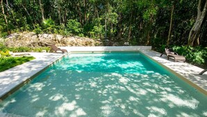 Una piscina rectangular con agua cristalina, rodeada por un suelo de piedra y abundante vegetación.
