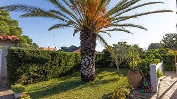 Terrein van de accommodatie