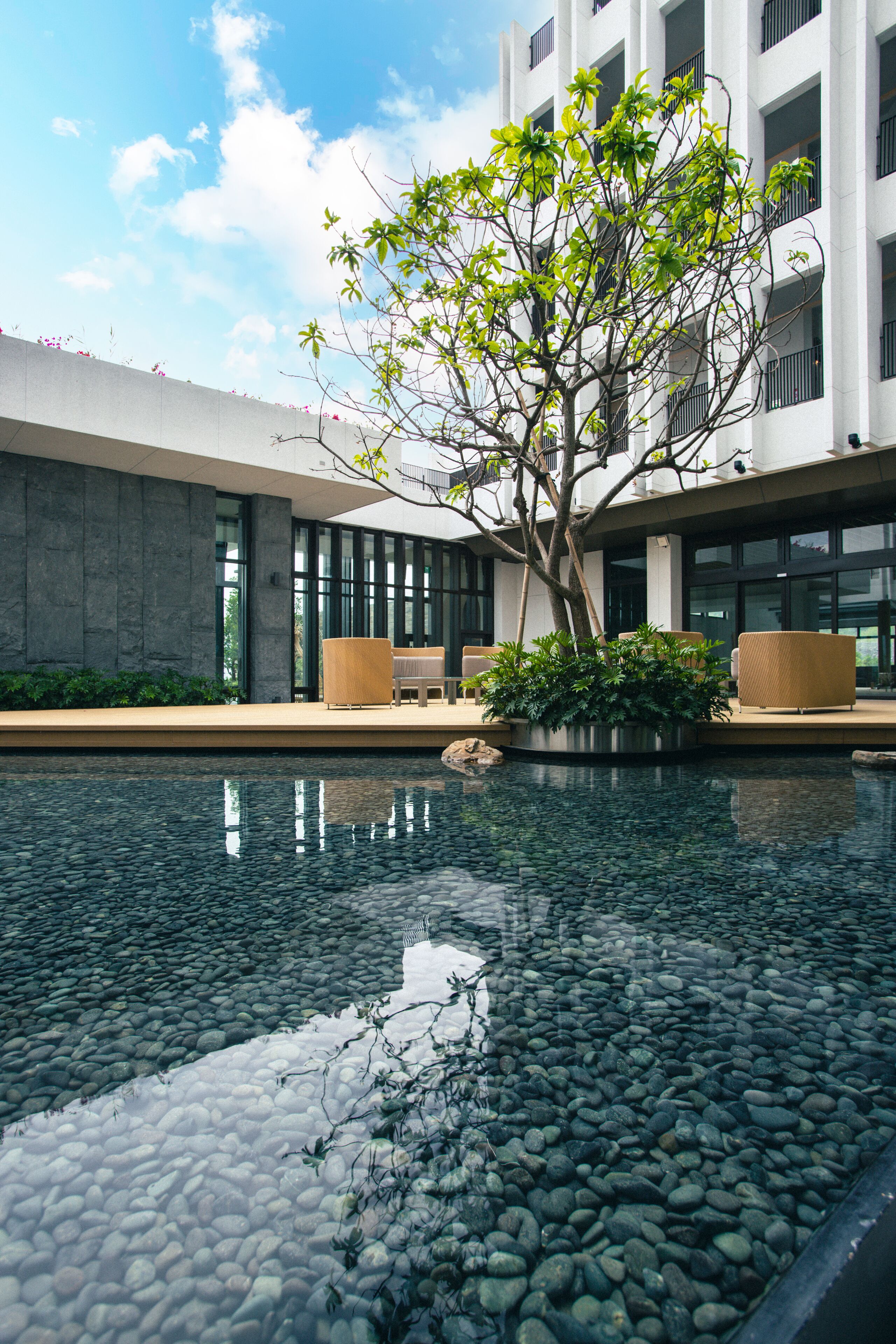 Un edificio moderno con piscina, zona de estar y un árbol.