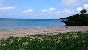 Una playa con agua cristalina, una orilla arenosa y vegetación verde al frente.
