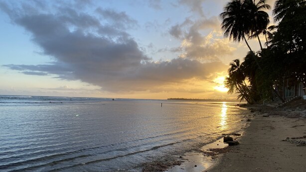 Ein Strand mit ruhiger See, Palmen und einem Sonnenuntergang.