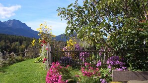 A garden with a wooden fence, various flowers, and a stone bench.