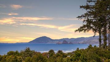 A coastal landscape with a view of the sea, mountains, and dense forest.