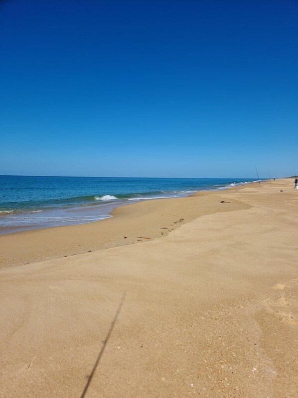 Playa en los alrededores 