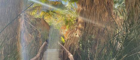 Overnattingsstedets uteområder