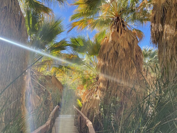 Property grounds - Swan Lake House and Hot Spring Mineral Pools (Desert Hot Springs)