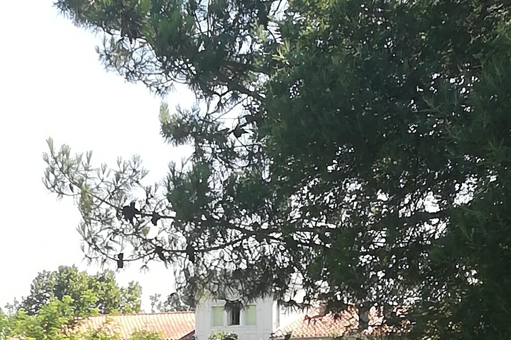 Mas des Marbres Sauvages property 30 people