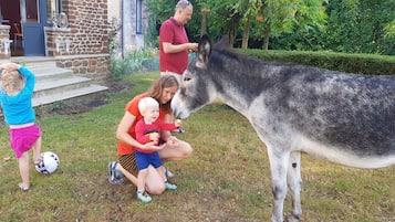 Enceinte de l’hébergement