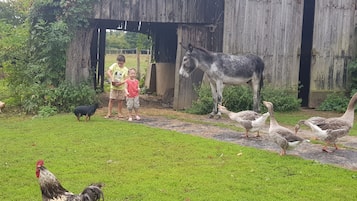 Enceinte de l’hébergement