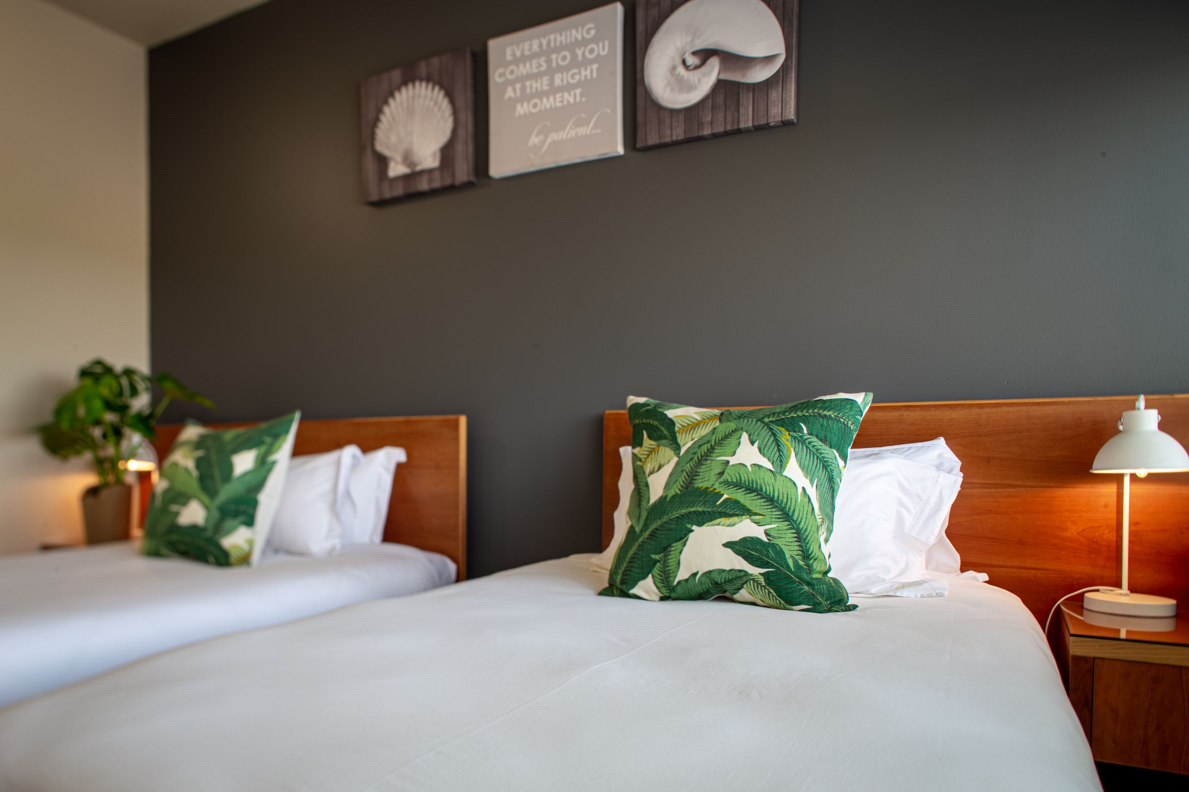 Habitación de hotel con dos camas, cada una con ropa de cama blanca y cabeceros de madera. Hay obras de arte en las paredes sobre las camas, una lámpara de noche a la derecha y una planta a la izquierda.