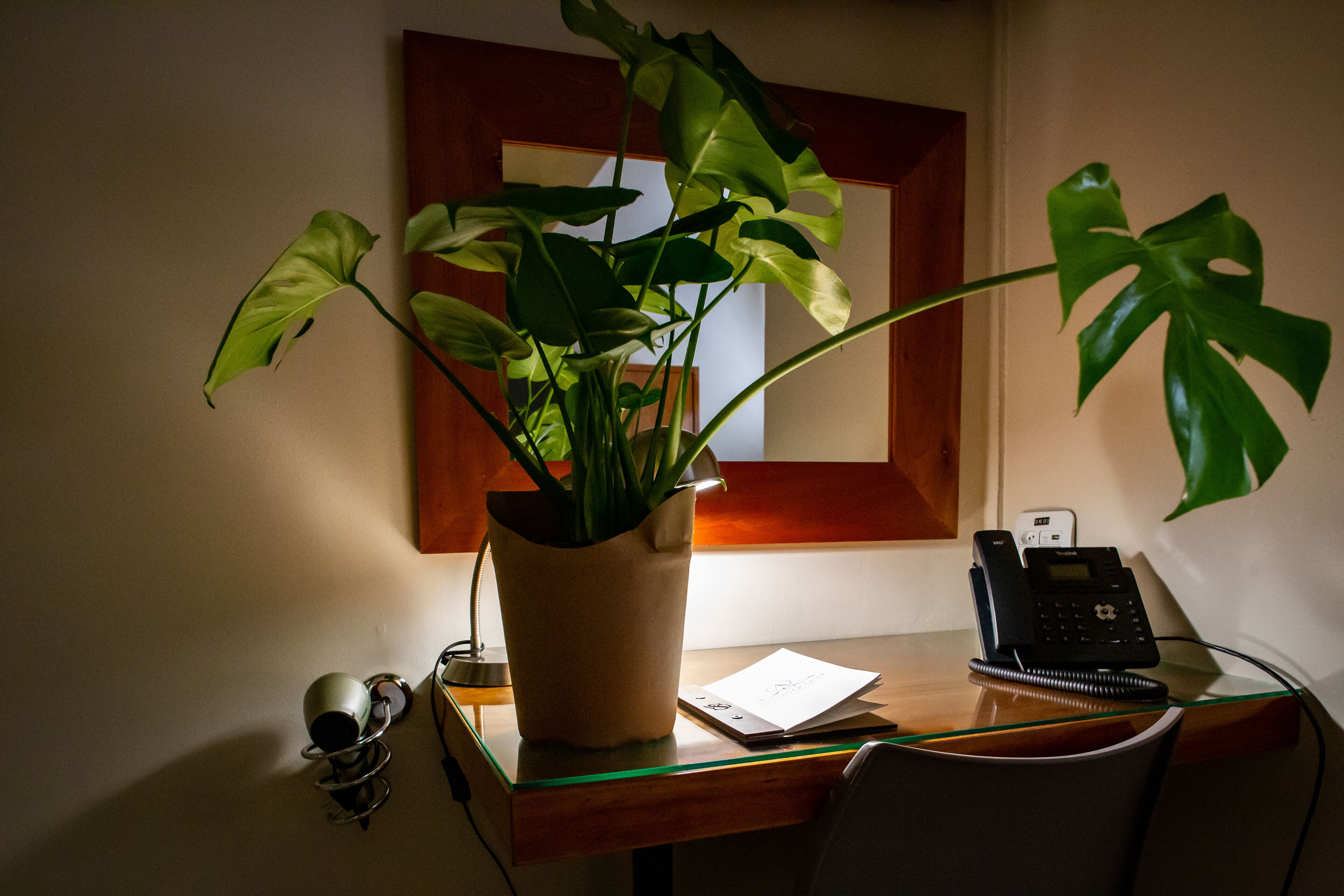 Een bureau met een bloempot, een telefoon en een lamp.