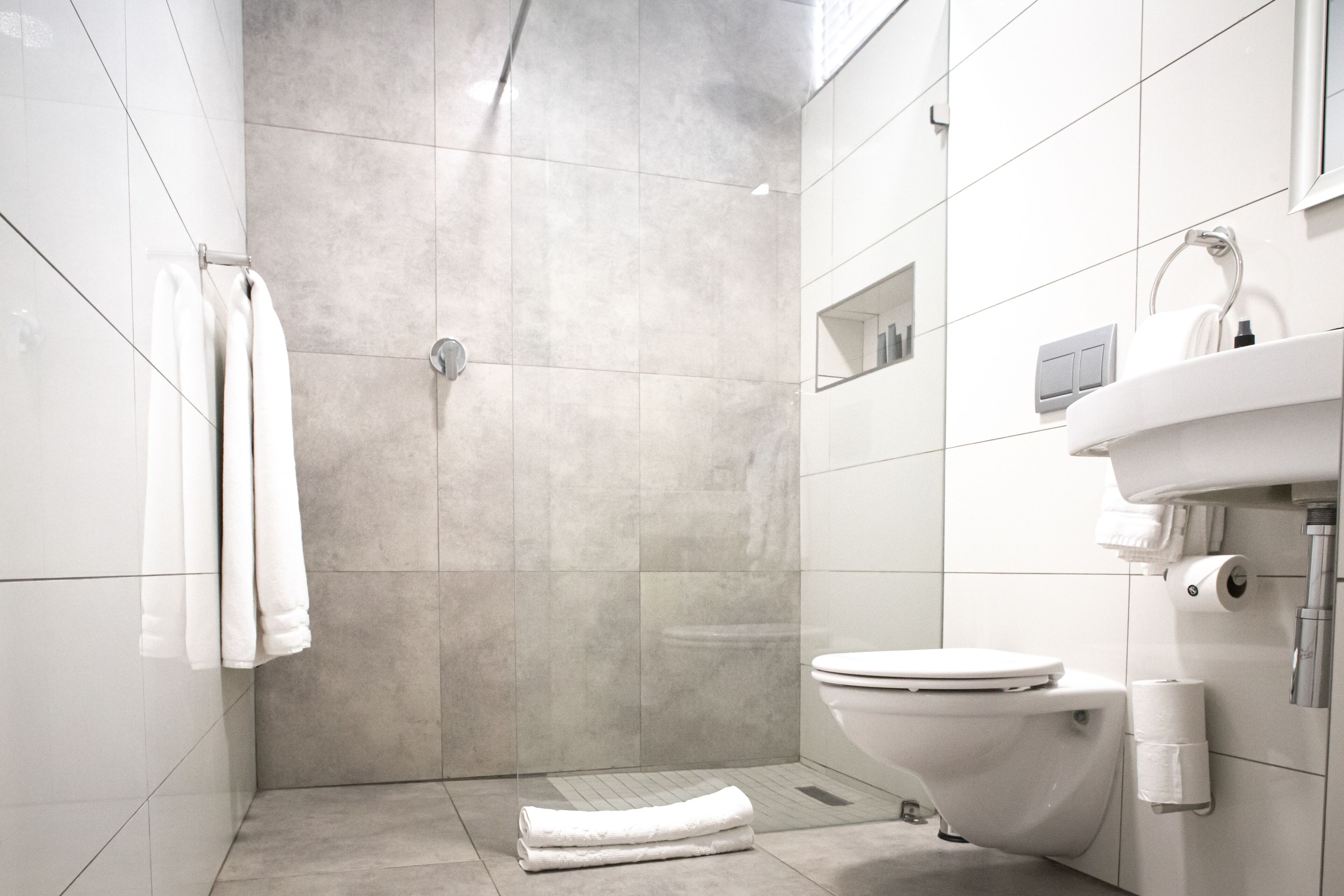 A modern bathroom with a walk-in shower, a toilet, and a sink.