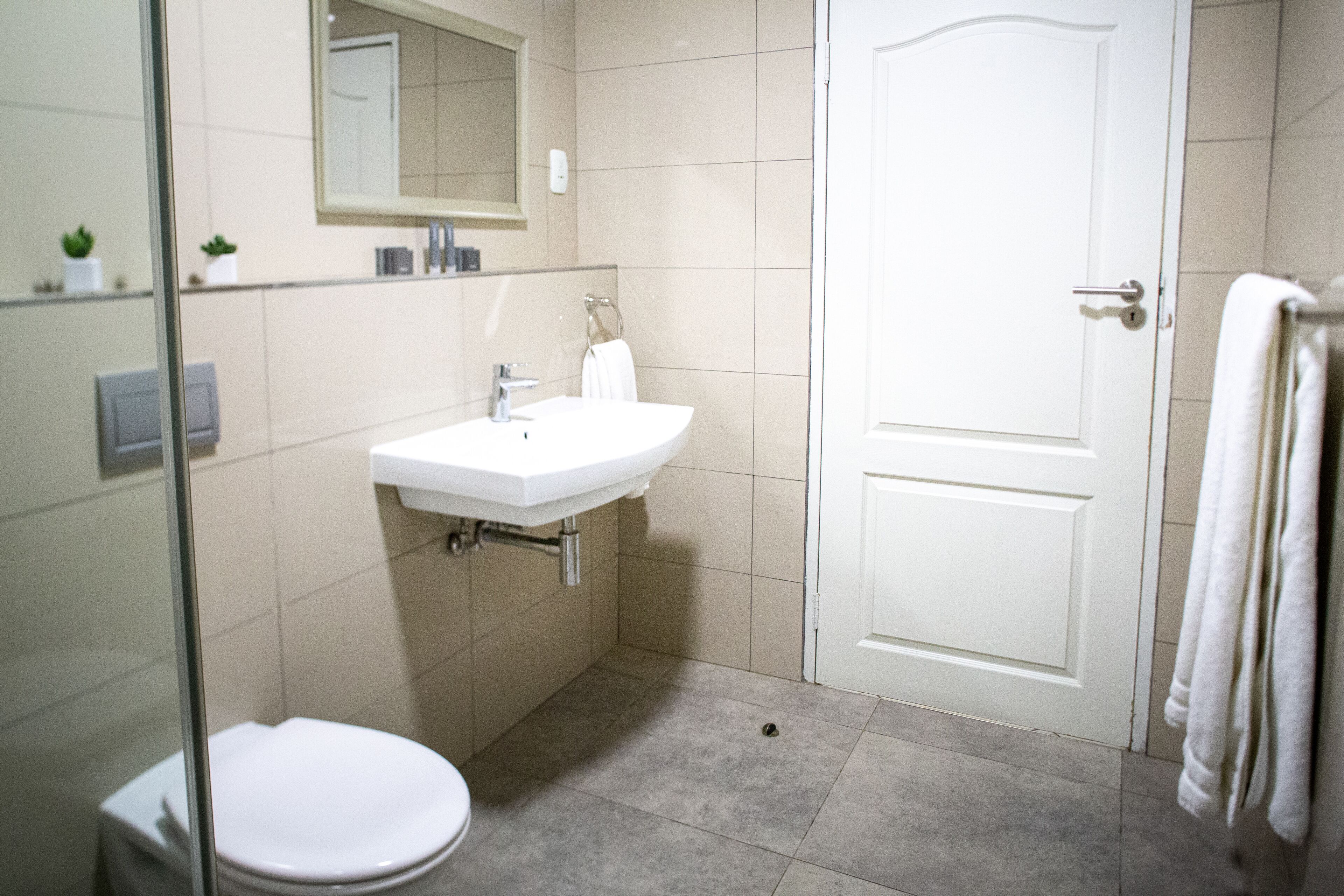 Ein Badezimmer mit weißem Waschbecken, Spiegel und Toilette. Ein Handtuchhalter und eine Duschkabine aus Glas sind vorhanden.