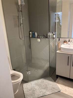 Shower, towels, toilet paper