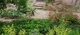 Chambre Exotic du Clos de la Canardière