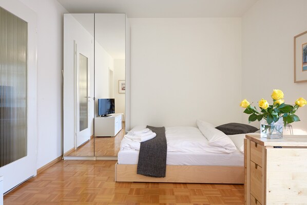 1 bedroom - Sunny apartment in the heart of Basel near Spalentor and Old Town (Basel)