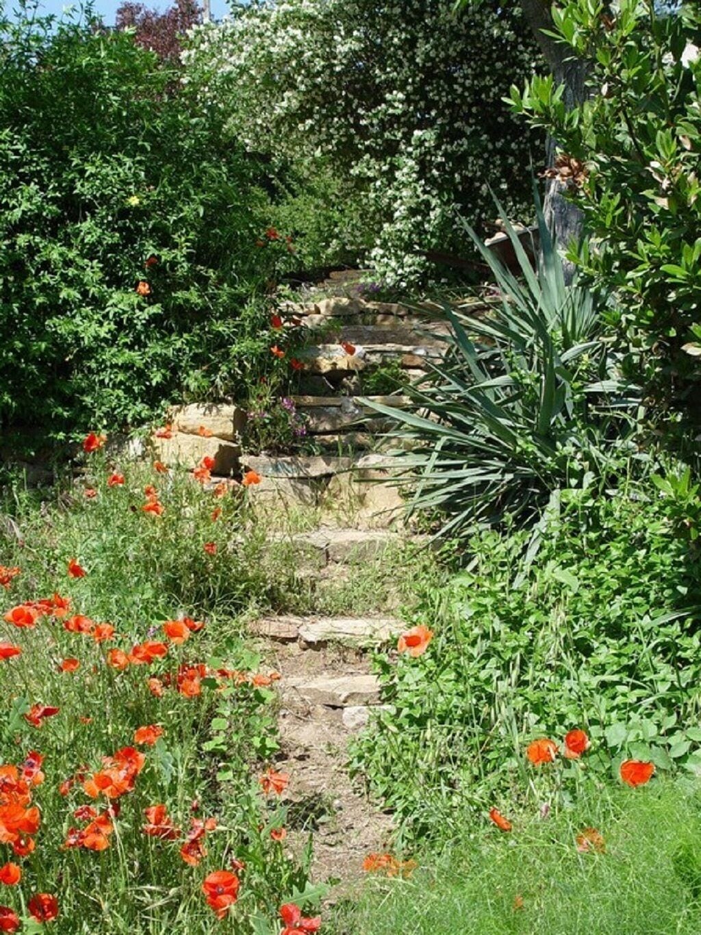 A garden with a stone pathway leading to a wooden structure, surrounded by various plants and flowers.