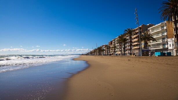 Une plage bordée d’une rangée d’immeubles à plusieurs étages, de palmiers et d’un ciel bleu azur.