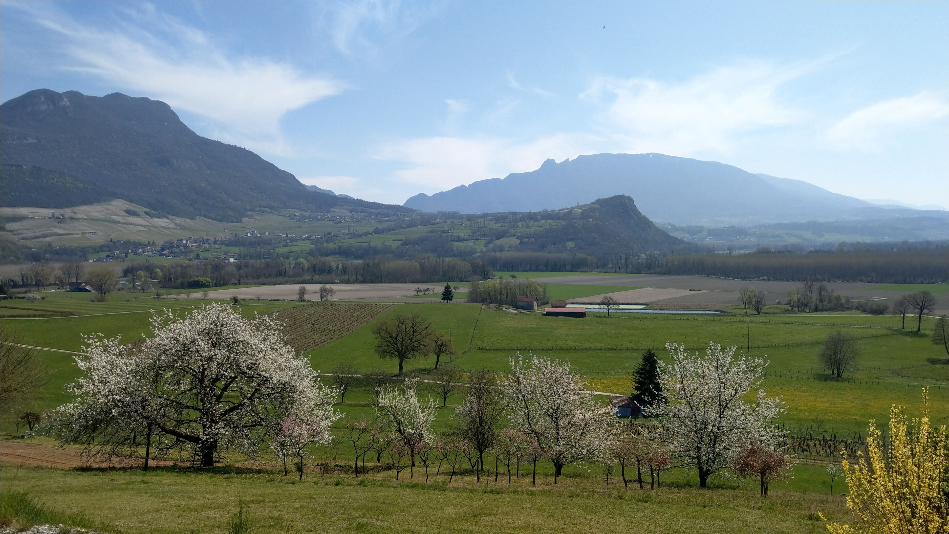A rural landscape with fields, trees, and distant mountains.