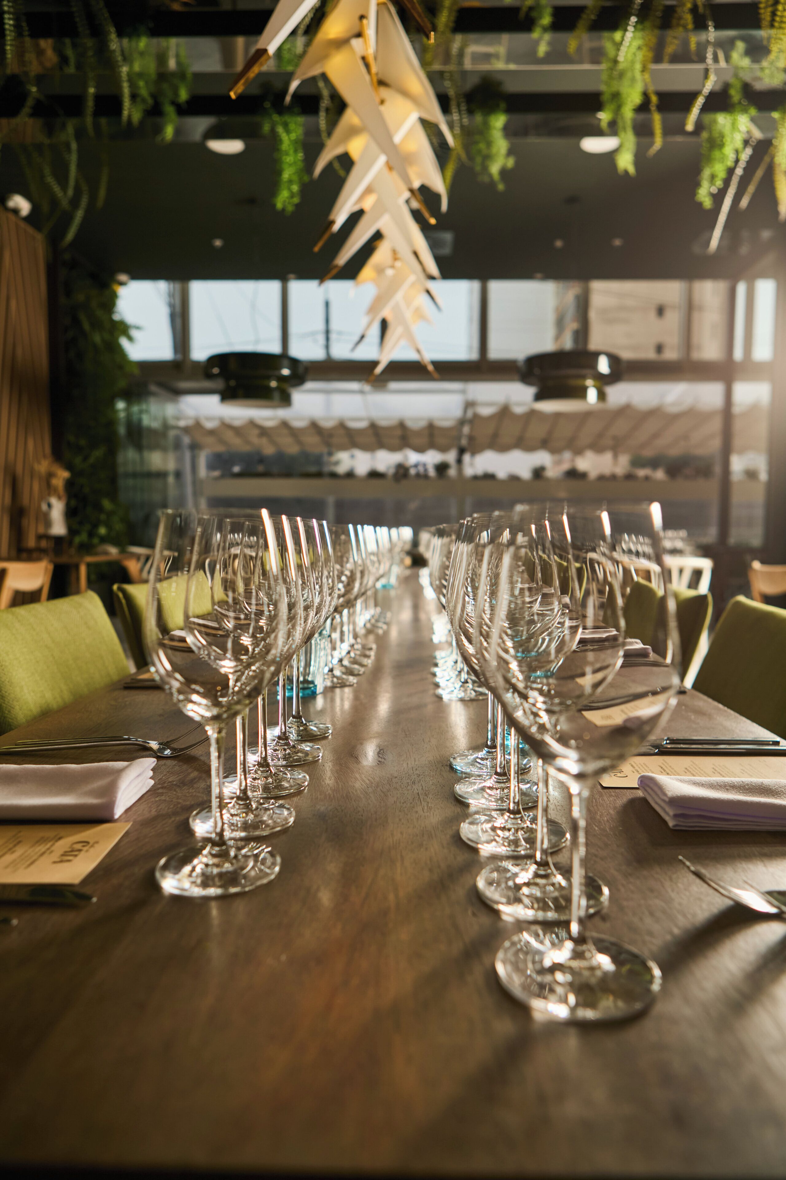 A long table with multiple wine glasses lined up, suggesting a formal dining setting.