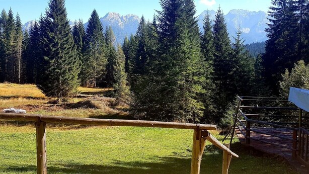A wooden deck with a view of a forest and mountains. - Casa Alpenblick, Centralissimo, Dolomiti (Danta di cadore)
