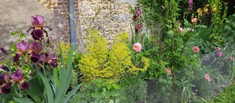 Room 3R du Clos de la Canardière