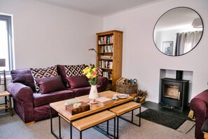 Televisión, chimenea y libros