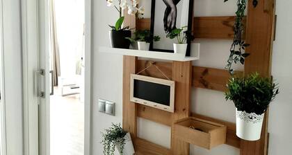 La paraíta Apartment