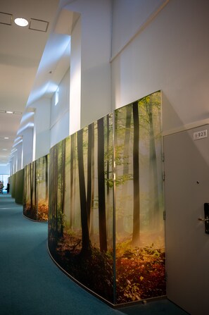 50-inch flat-screen TV with digital channels - Ikaalinen Spa & Hotel (Ikaalinen)