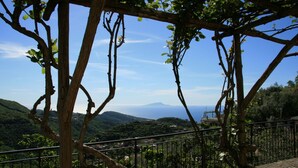 Una pergola in legno con piante rampicanti, affacciata su un paesaggio montano con cielo sereno.