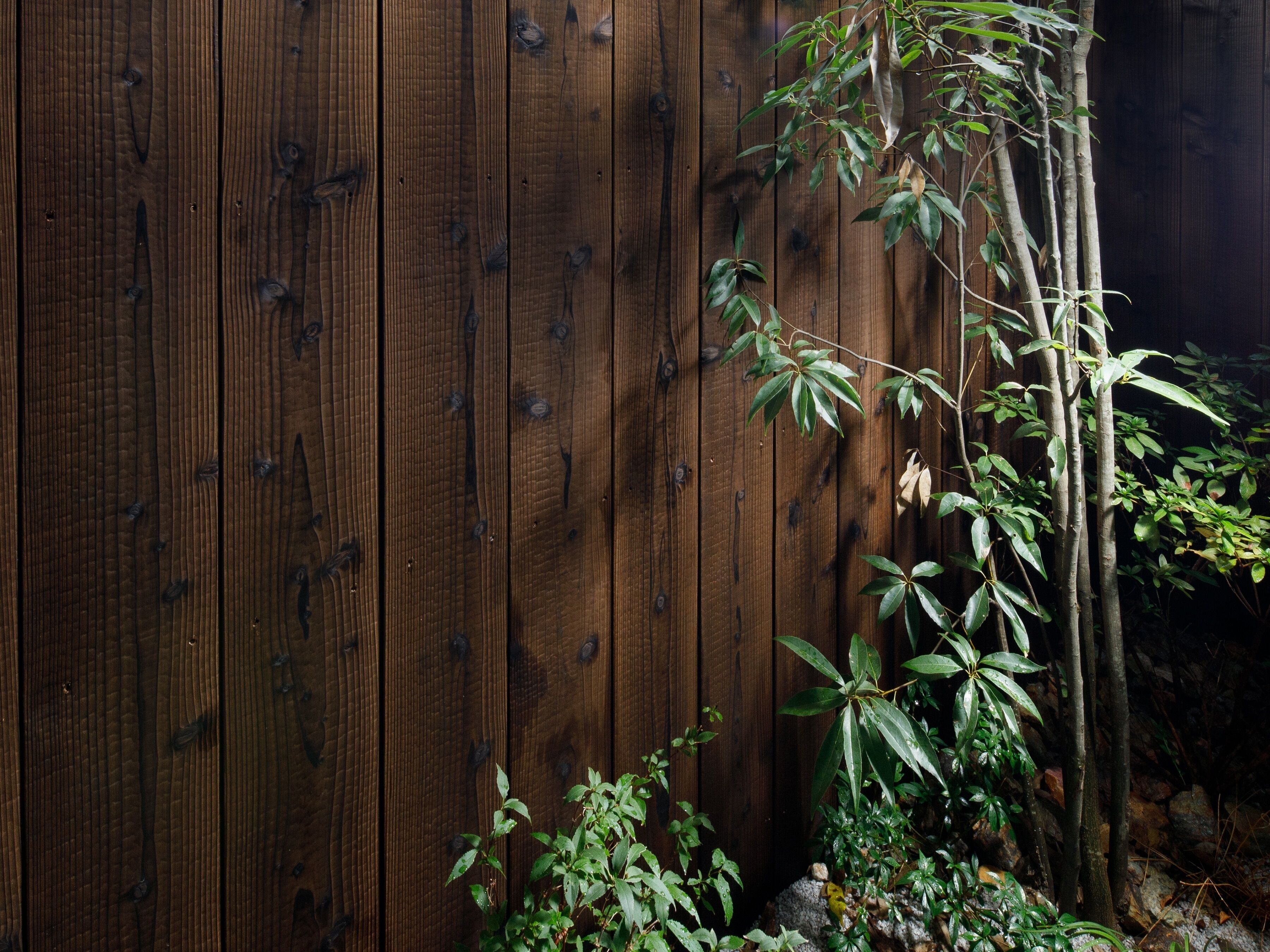 Vila luxo, para não fumantes | Terraço/pátio